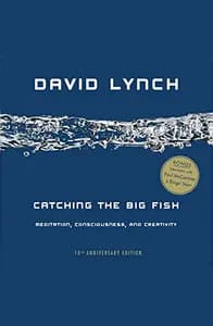 Catching the Big Fish: Meditation, Consciousness, and Creativity: 10th Anniversary Edition
