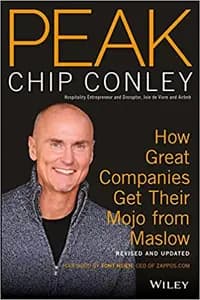 Peak: How Great Companies Get Their Mojo from Maslow