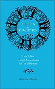 Pebbles of Perception: How a Few Good Choices make All the Difference
