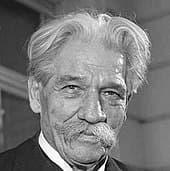 albert schweitzer