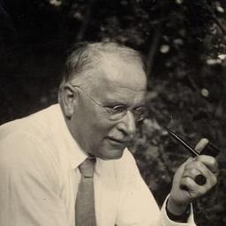 carl jung