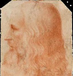 leonardo da vinci