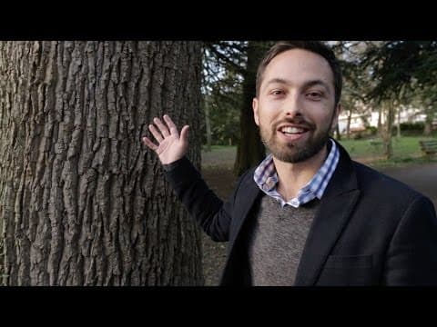 Why Trees Are Taller Than They Need To Be thumbnail
