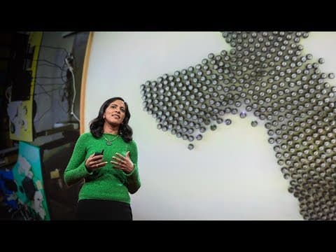 What intelligent machines can learn from a school of fish | Radhika Nagpal thumbnail