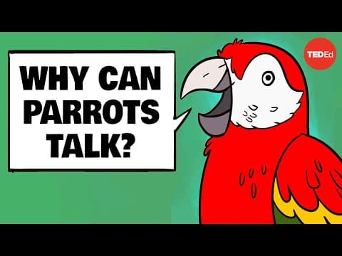 Why Can Parrots Mimic Human Speech So Well? thumbnail