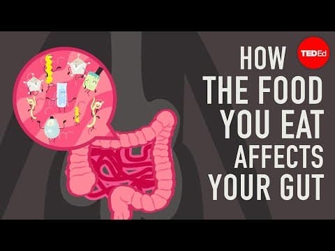 How the food you eat affects your gut - Shilpa Ravella thumbnail