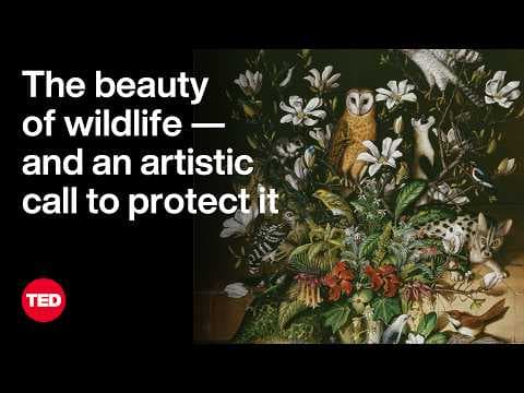 The Beauty of Wildlife — and an Artistic Call to Protect It | Isabella Kirkland | TED thumbnail