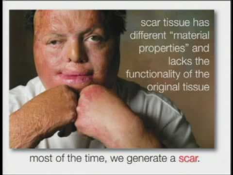 Stem Cells & Tissue Regeneration thumbnail