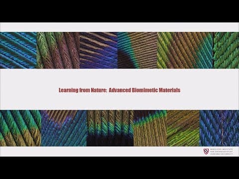 Learning from Nature: Advanced Biomimetic Materials | Panče Naumov || Radcliffe Institute thumbnail