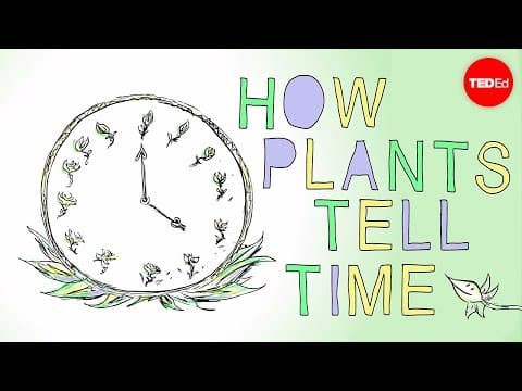 How plants tell time - Dasha Savage thumbnail