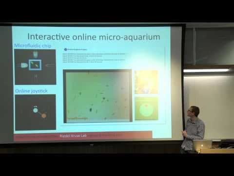 Biotic Games-Playing with Living Cells thumbnail