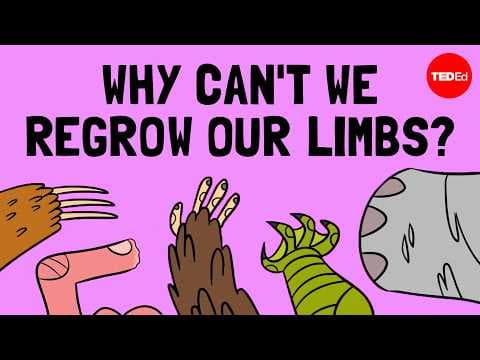 How Do Salamanders Regenerate Their Limbs? thumbnail
