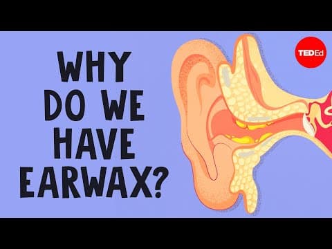 What is earwax — and should you get rid of it? - Henry C. Ou thumbnail