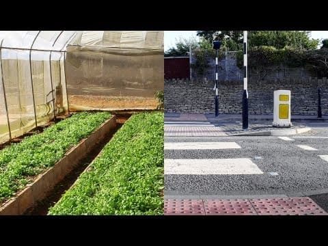 How we can eat our landscapes | Pam Warhurst thumbnail