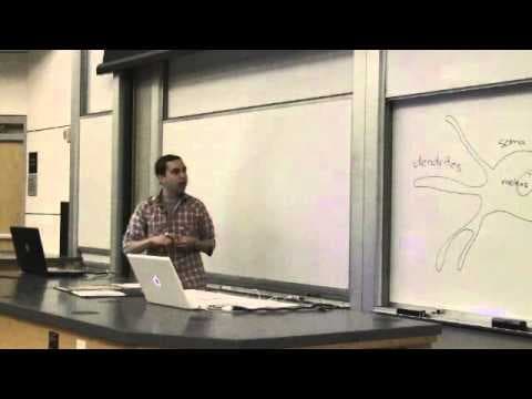 10. Introduction to Neuroscience I thumbnail