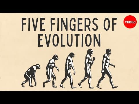 What Are the Five Processes of Evolution? thumbnail