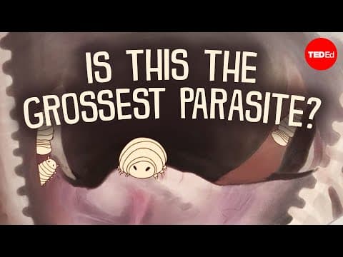 Is this the grossest parasite? - Niko Zlotnik thumbnail