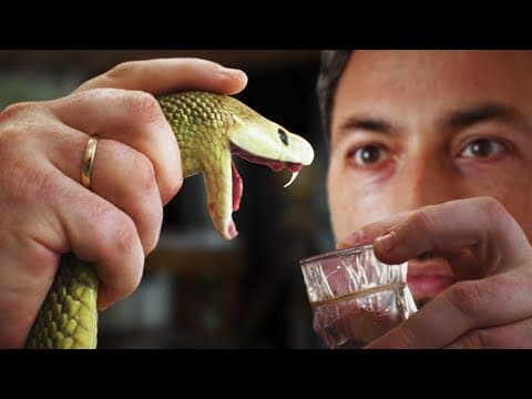How Horses Save Humans From Snakebites thumbnail