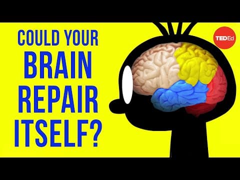 Could your brain repair itself? - Ralitsa Petrova thumbnail