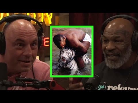 Mike Tyson Talks About Tigers thumbnail