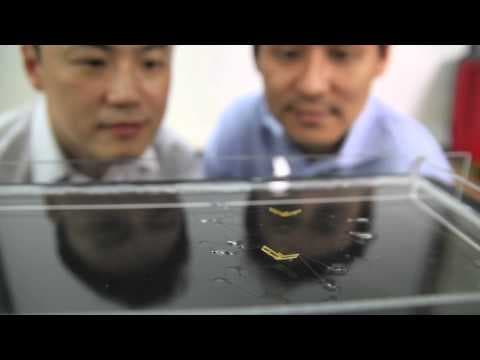 Jumping on Water: Robotic Water Strider thumbnail