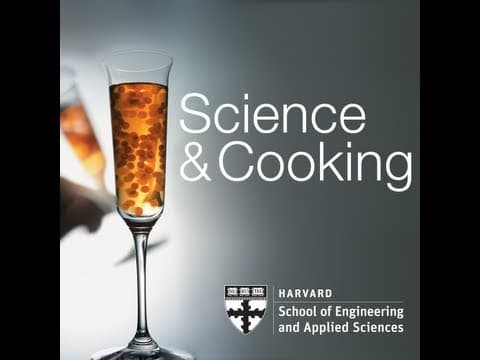 Modernist Cuisine at Home | Lecture 11 (2012) thumbnail