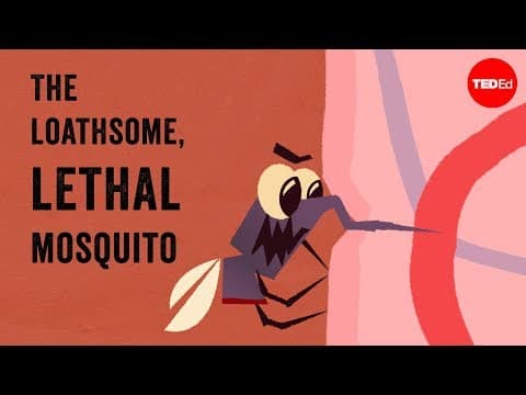 The loathsome, lethal mosquito - Rose Eveleth thumbnail