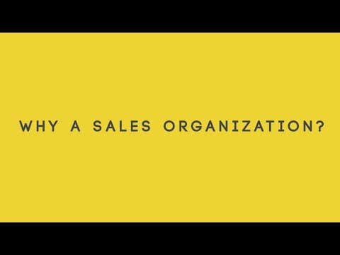 Why Build a Sales Organization? thumbnail