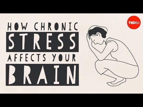 How stress affects your brain - Madhumita Murgia thumbnail