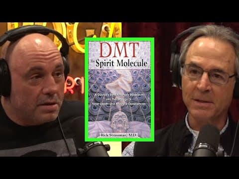 What Is Happening in the Brain During a DMT Trip? thumbnail