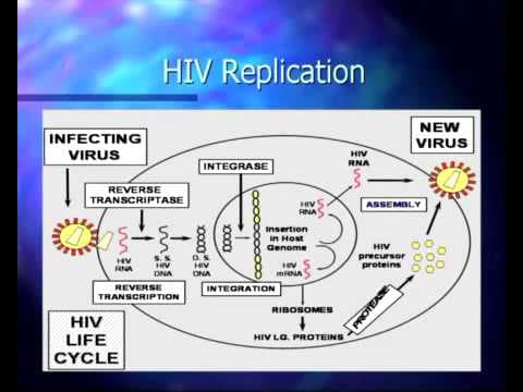 Basic Course in HIV - Pathophysiology and Natural History of HIV Infection thumbnail