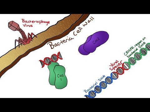CRISPR-Cas: Molecular Recording thumbnail
