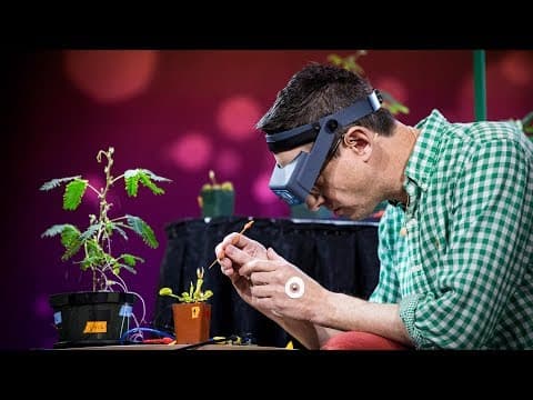 Electrical experiments with plants that count and communicate | Greg Gage thumbnail