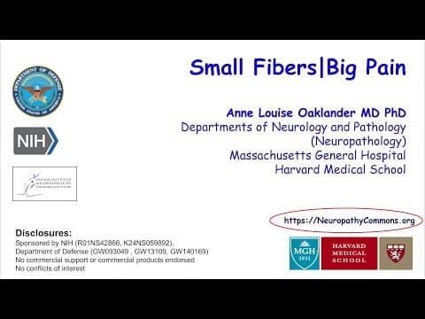 Anne Louise Oaklander | Small Fibers, Big Pain || Radcliffe Institute thumbnail
