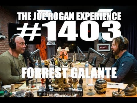Joe Rogan Experience #1403 - Forrest Galante thumbnail