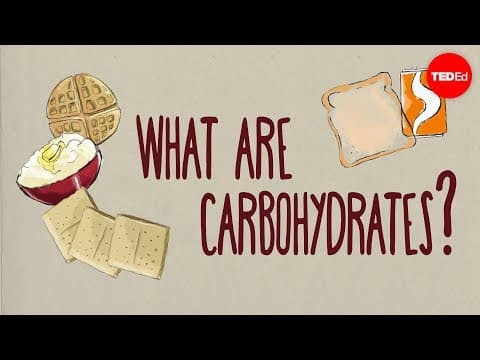 How do carbohydrates impact your health? - Richard J. Wood thumbnail