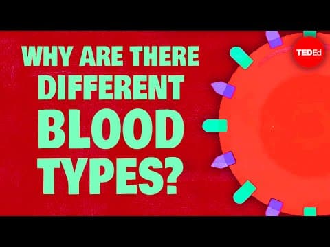 Why do blood types matter? - Natalie S. Hodge thumbnail