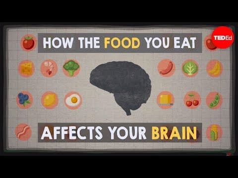 How the food you eat affects your brain - Mia Nacamulli thumbnail