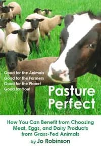 Pasture Perfect: The Far-reaching Benefits of Choosing Meat, Eggs, and Dairy Products from Grass-fed Animals