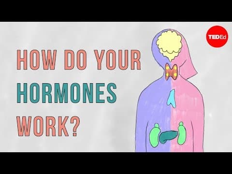 How Do Hormones Regulate Your Body's Functions? thumbnail