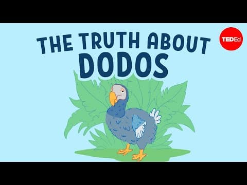 What Caused the Extinction of Dodo Birds? thumbnail