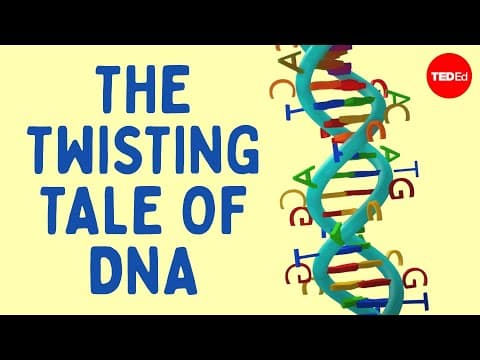 The twisting tale of DNA - Judith Hauck thumbnail