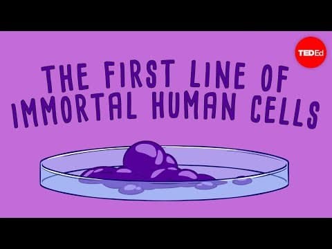 The immortal cells of Henrietta Lacks - Robin Bulleri thumbnail