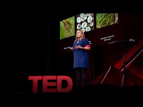 How we're using DNA tech to help farmers fight crop diseases | Laura Boykin thumbnail