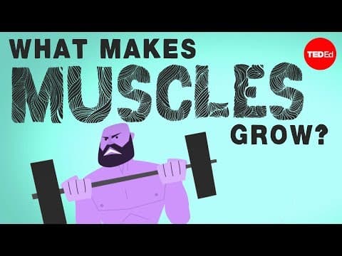 What makes muscles grow? - Jeffrey Siegel thumbnail