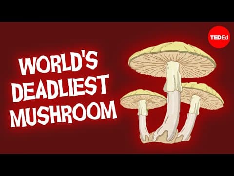 This mushroom will kill you before you know what’s happening - Michael Beug thumbnail