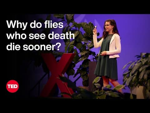 The Science of Lifespan — and the Impact of Your Five Senses | Christi Gendron | TED thumbnail
