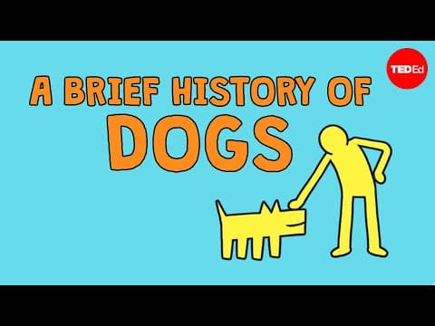 A brief history of dogs - David Ian Howe thumbnail
