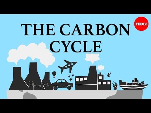 What Is the Carbon Cycle and Its Impact on Climate Change? thumbnail