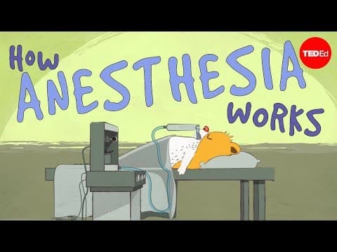 How does anesthesia work? - Steven Zheng thumbnail